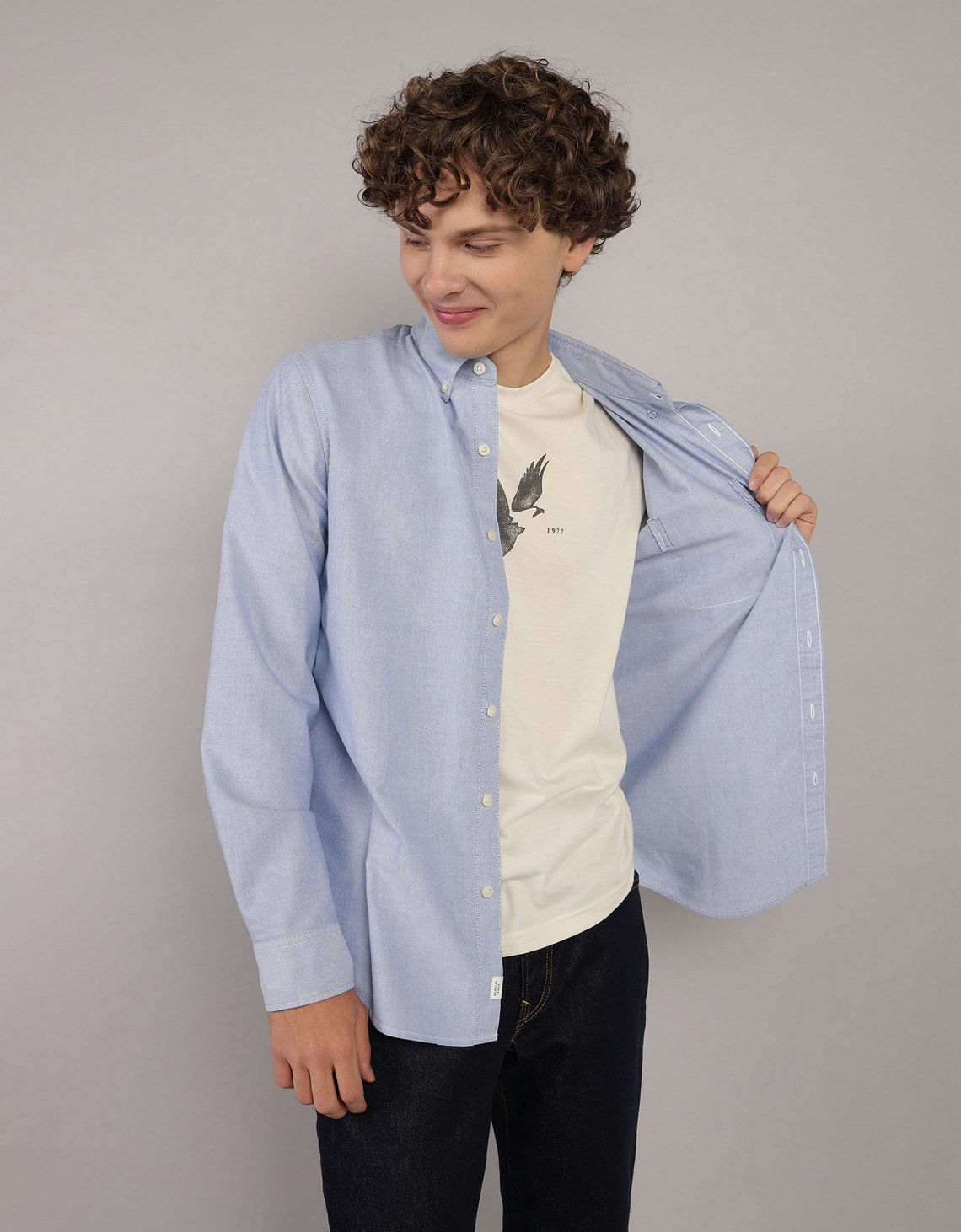 Camisa Oxford Slim Fit Ae