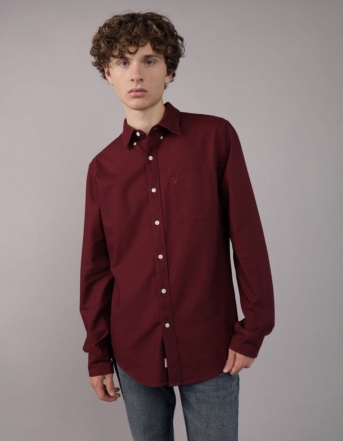 Camisa Oxford Slim Fit Ae