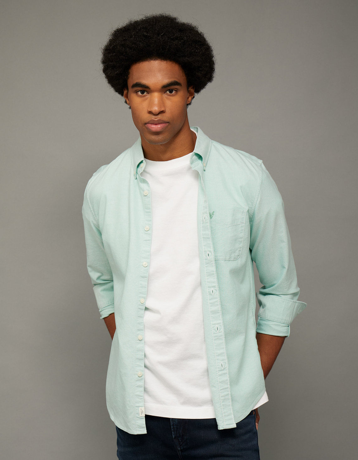 Camisa Oxford Slim Fit Ae