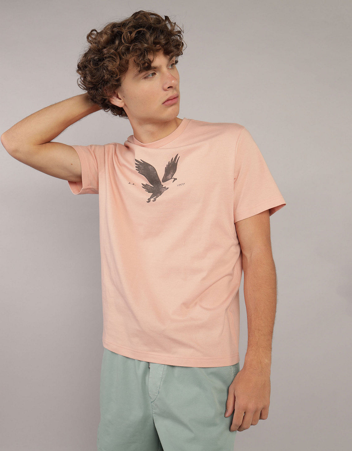 Camiseta manga corta con gráfico de hombre AE